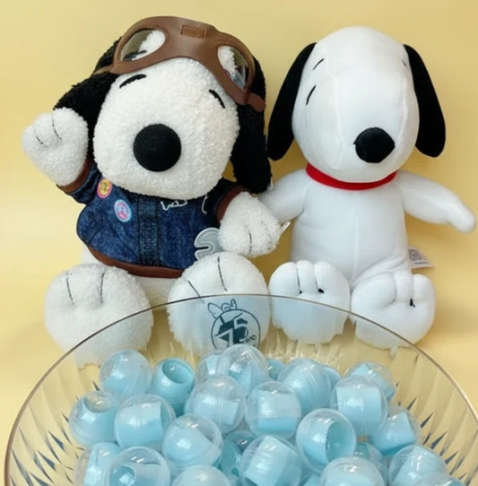 ⬛️NANABOSS🔷 Only Snoopy-Style Mystery Scoop