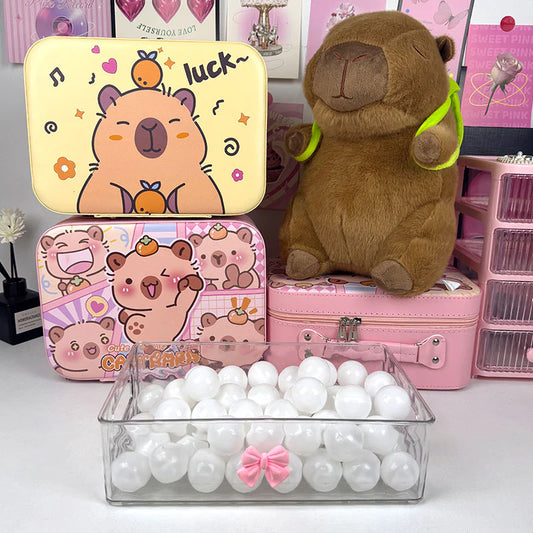 ⬛️NANABOSS🔷 Capybara Mystery Scoop Random Box