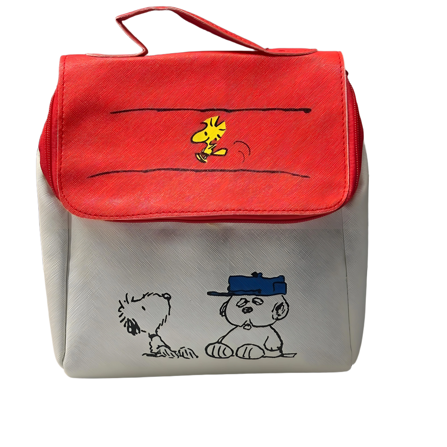 ⬛️NANABOSS🔷 Snoopy Mystery Scoop Random Box
